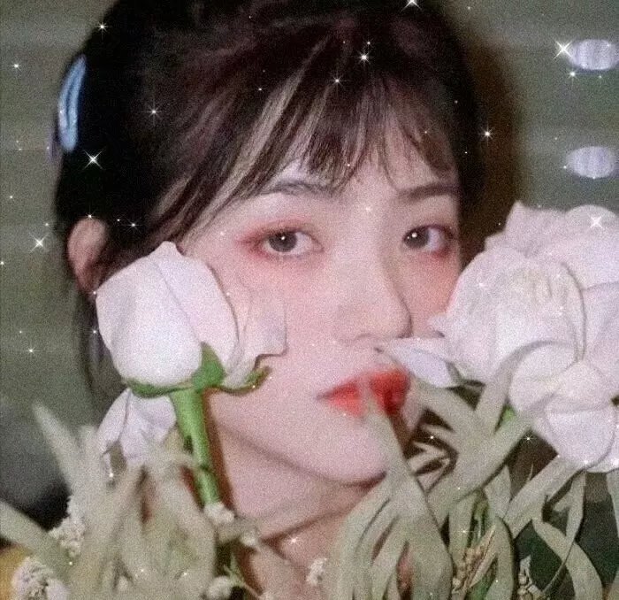 人前叫多莉,人后叫凯蒂